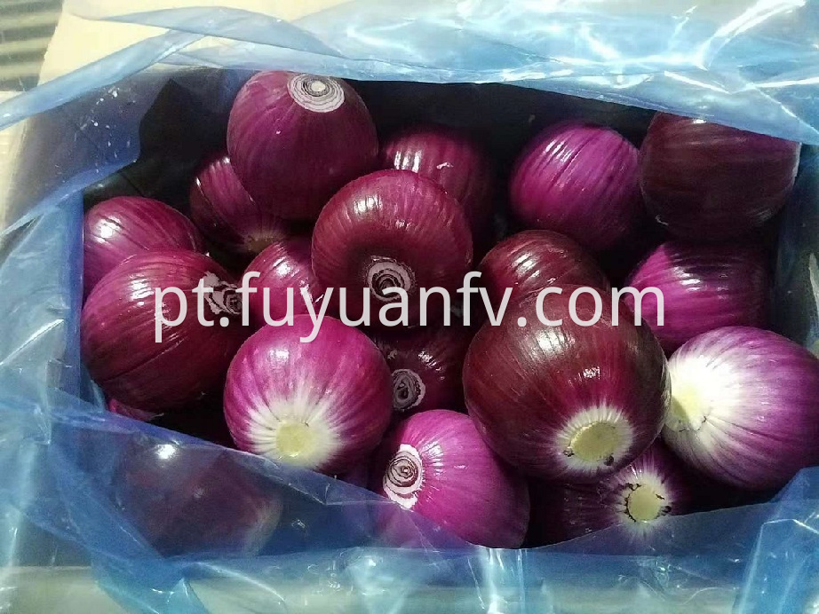 red onion